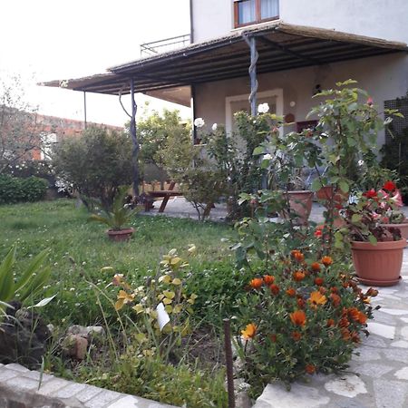 I Girasoli Bed and Breakfast Tortolì Esterno foto